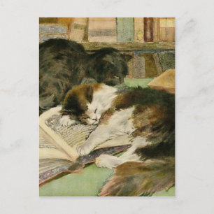 Vintage Kontaktlose Flauschkatzen Ankündigungspostkarte