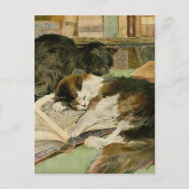 Vintage Kontaktlose Flauschkatzen Ankündigungspostkarte (Vorderseite)