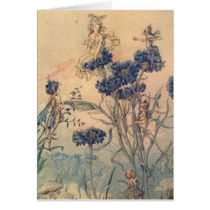 Vintage - Kornblumenfeen,