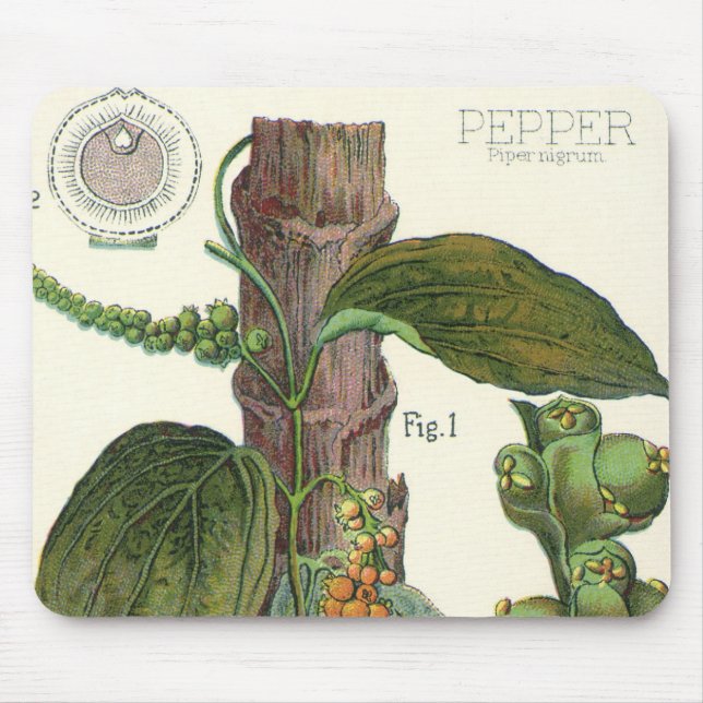 Vintage Kräuter Gewürze, Pflanze Black Pepper Mousepad (Vorne)
