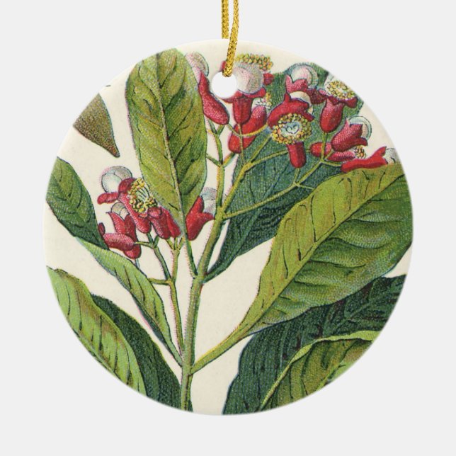Vintage Kräuter Gewürze, Pflanze der Gewürze Keramikornament (Vorne)