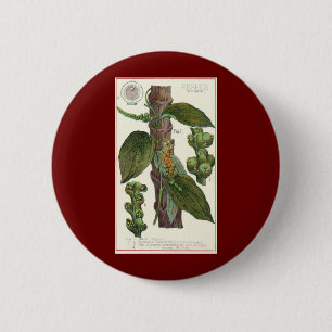 Vintage-Kräuter und Gewürze für Lebensmittel, Schw Button