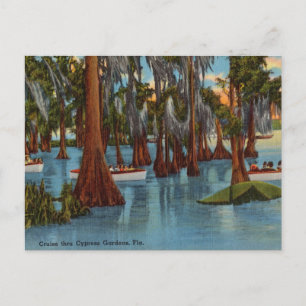 Vintage, Kreuzfahrt Cyprus Gardens, Florida Postkarte