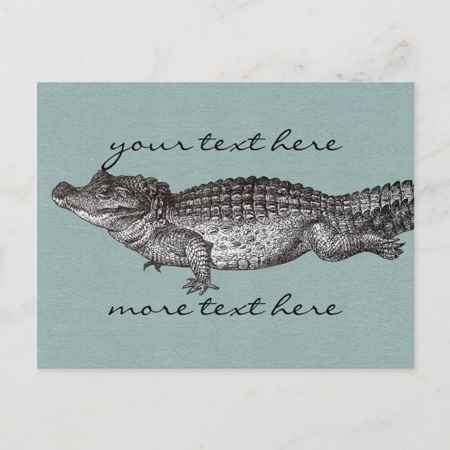Vintage Krokodil-Postkarte Postkarte (Vorderseite)