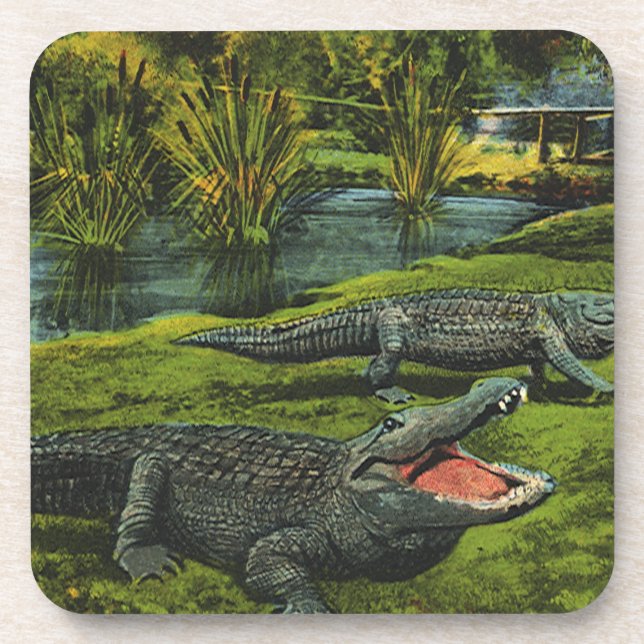 Vintage Krokodile, Meereslebewesen Reptilien Getränkeuntersetzer (Vorderseite)