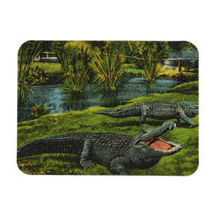 Vintage Krokodile, Meereslebewesen Reptilien Magnet