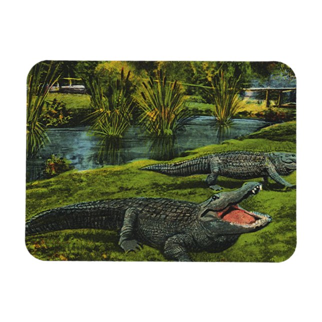 Vintage Krokodile, Meereslebewesen Reptilien Magnet (Horizontal)