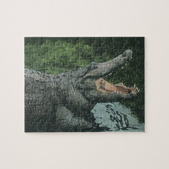 Vintage Krokodile Reptilien, Meerestierleben (Horizontal)