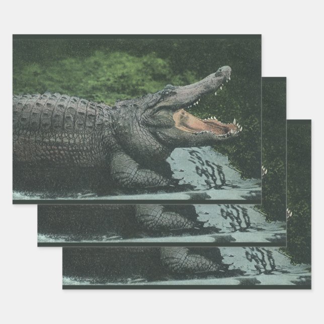 Vintage Krokodile Reptilien, Meerestierleben Geschenkpapier Set (Set)