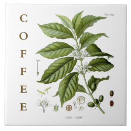 Vintage-Küchenkunst: Kaffeepflanze & Blumen Fliese
