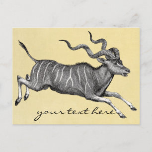 Vintage-Kudu-Postkarte Postkarte