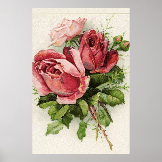 Vintage Kunst Antike Rose Poster (Vorne)