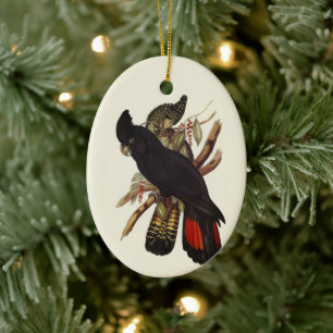 Vintage-Kunst des Rotschwanz-Raben kakadus von Joh Keramik Ornament