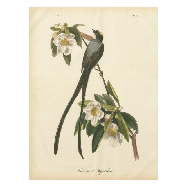 Vintage Kunst-Magnolien-BlumenvogelFlycatcher Tischdecke (Vorderseite)