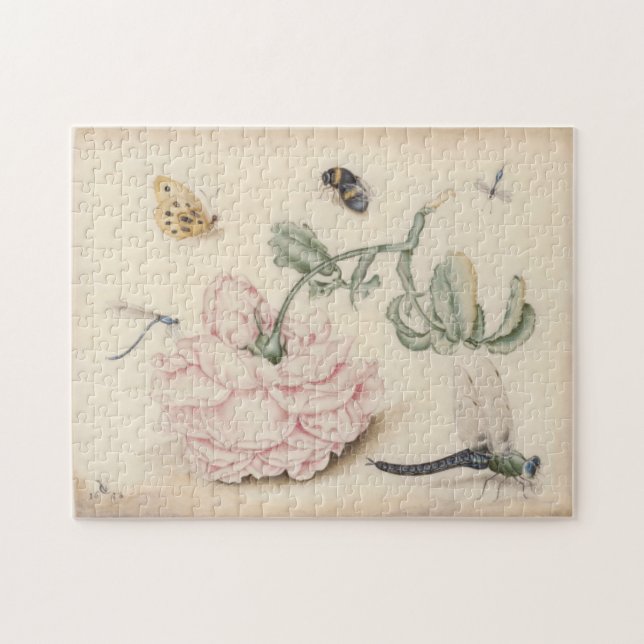 Vintage Kunst mit einer blassrosa Rose und Insekte (Horizontal)