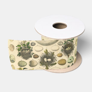 Vintage Kunstmalerei von Vogeleiern im Nest, Natur Satinband