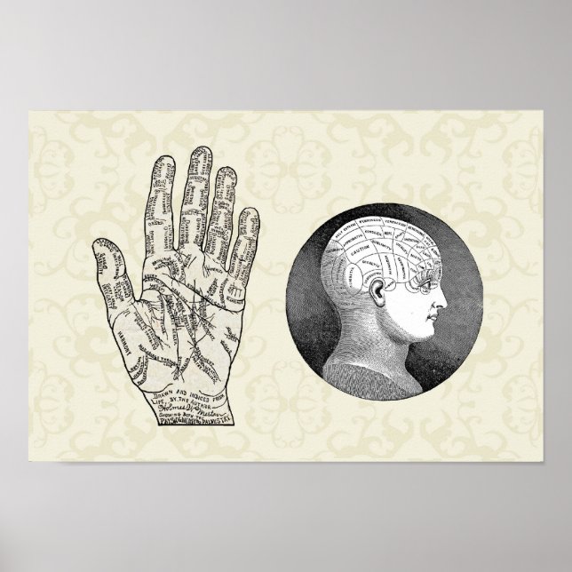 Vintage Kunstpalmisten- und Phrenologie-Diagramme Poster (Vorne)