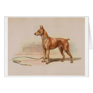 Vintage-Kunstwerk - Zwergpinscher-Hund,