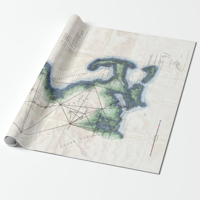 Vintage Küste der Neu-England Cape- Codkarte Geschenkpapier (Ungerollt)