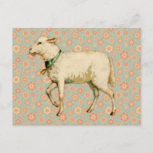 Vintage-Lamm-Kunst Postkarte