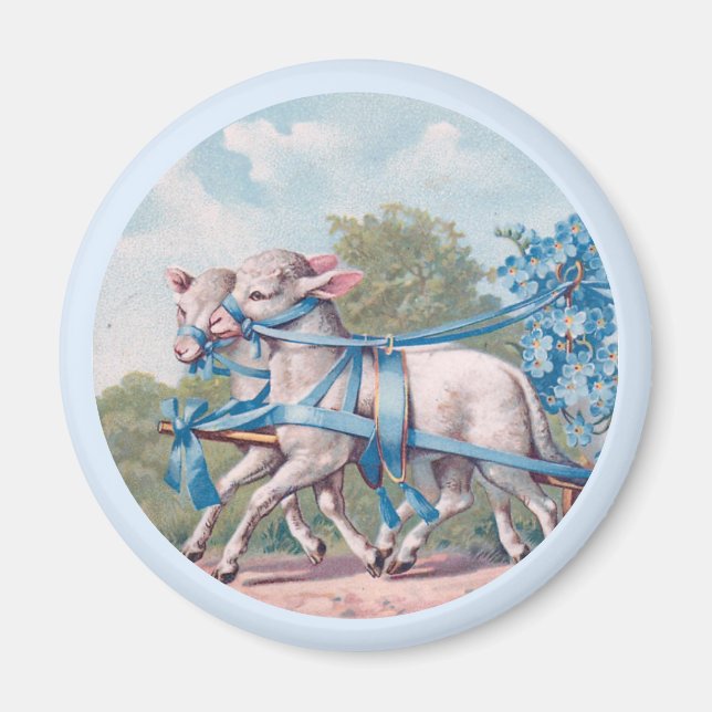Vintage Lämmer in Extravaganten blauen Ribbons gek Magnet (Vorne)