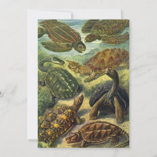 Vintage Landschildkröten und Meeresschildkröten vo Einladung