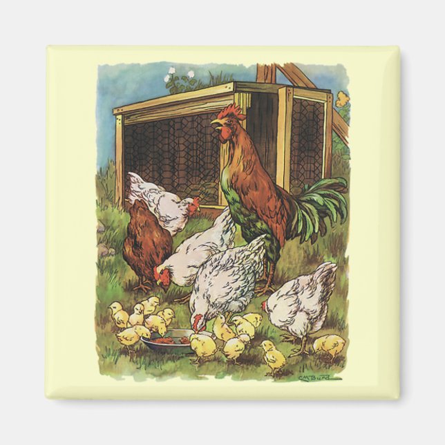 Vintage Landtiere, Hennen, Hühner Magnet (Vorne)