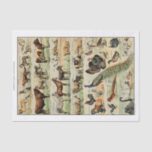 Vintage-Landwirtschaftstiere-Decoupage Seidenpapier