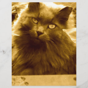 Vintage Langhaarige Russische Blaue Katze