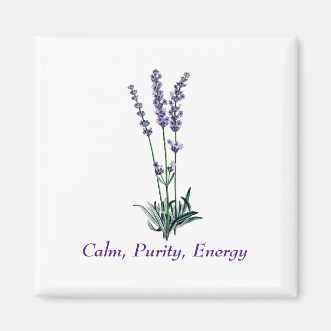 Vintage Lavendel-Blume Magnet (Vorne)