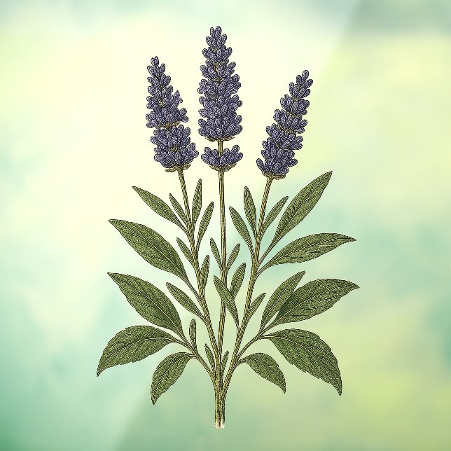 Vintage Lavender Fensteraufkleber (Blatt 3)