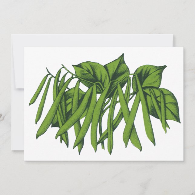 Vintage Lebensmittel, Bio grüne Bohnen Gemüse (Vorderseite)