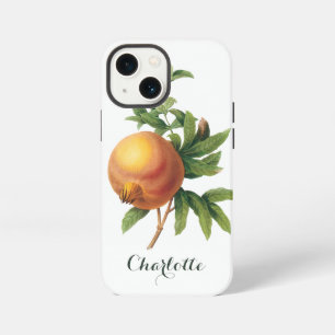 Vintage-Lebensmittel Frucht, Granatapfel von Redou iPhone Hülle