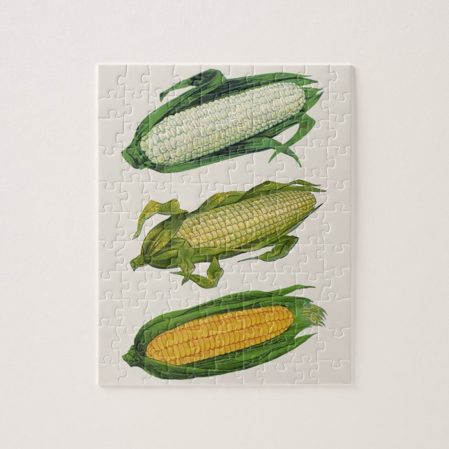 Vintage Lebensmittel gesunde Gemüse, frischer Mais (Vertikal)