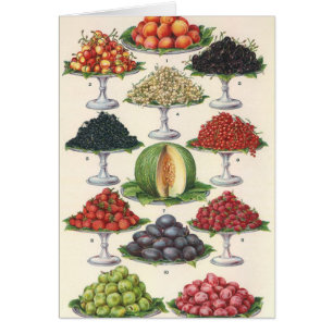 Vintage Lebensmittel Obst auf Tabletts zum Caterin