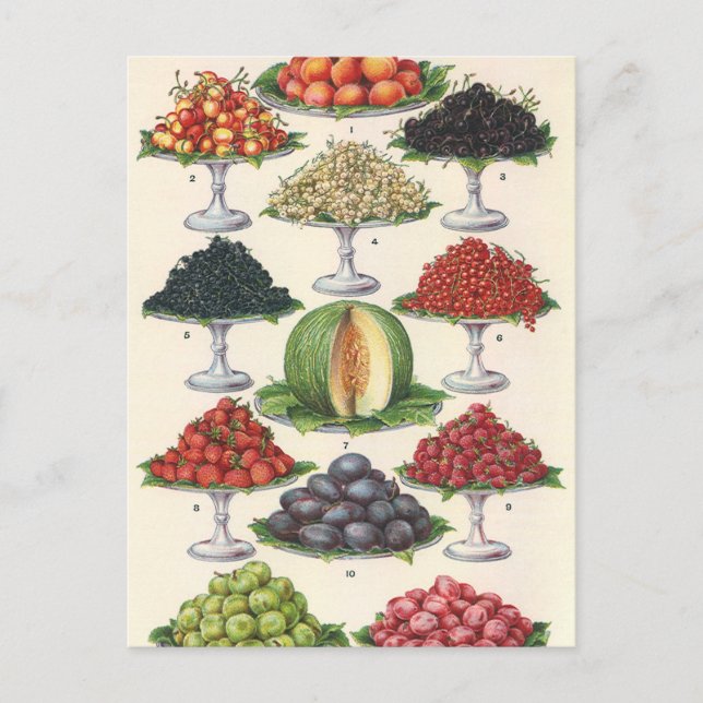 Vintage Lebensmittel Obst auf Tabletts zum Caterin Postkarte (Vorderseite)