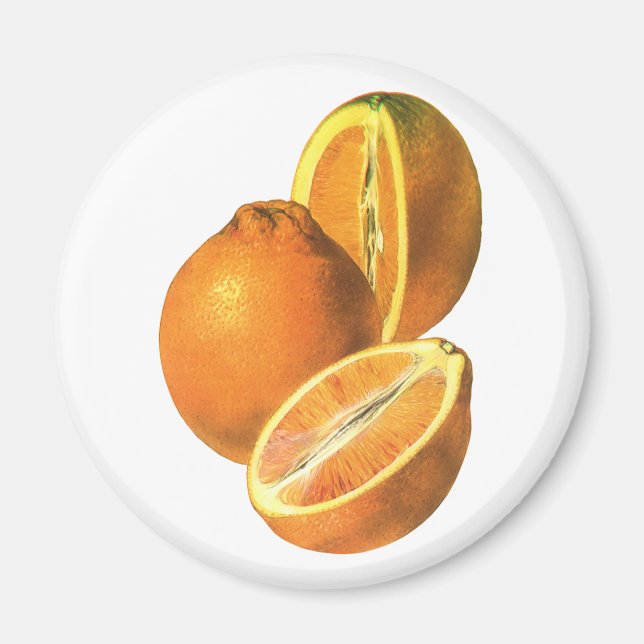 Vintage Lebensmittel, Obst Bio Frischfrische, gesu Magnet (Vorne)