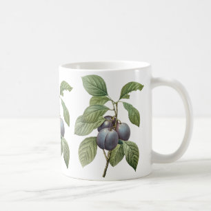 Vintage-Lebensmittel Obst, lila Gartenpflaumen von Kaffeetasse