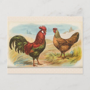 Vintage "Leghornhühner" Postkarte