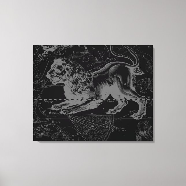 Vintage Leokonstellation MapHevelius 1690 Leinwanddruck (Vorderseite)