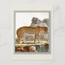Vintage Leopard-Illustration Postkarte
