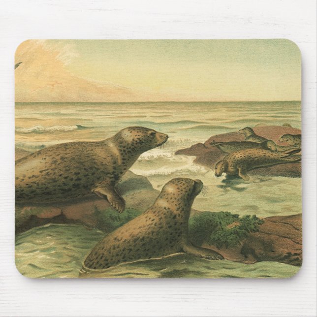 Vintage Leoparden-Siegel, Wassertiere — Leben in d Mousepad (Vorne)