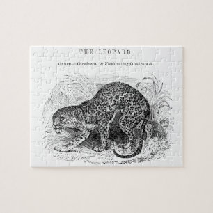 Vintage Leoparden-Wildtier-Illustration