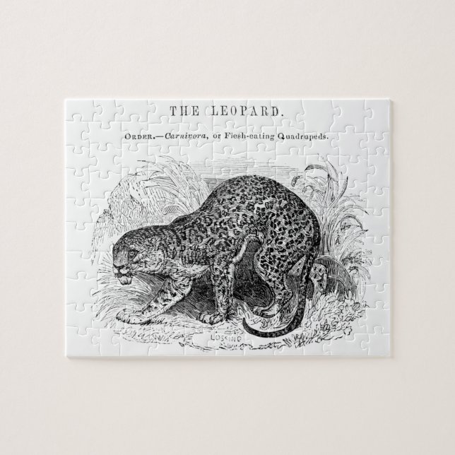 Vintage Leopardendarstellung (Horizontal)