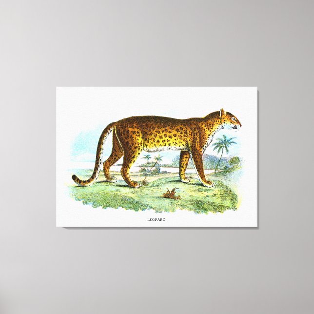 Vintage Leopardendarstellung Leinwanddruck (Vorderseite)