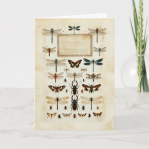 Vintage Libellen Käfer Taxonomie Exemplar Diagramm Karte