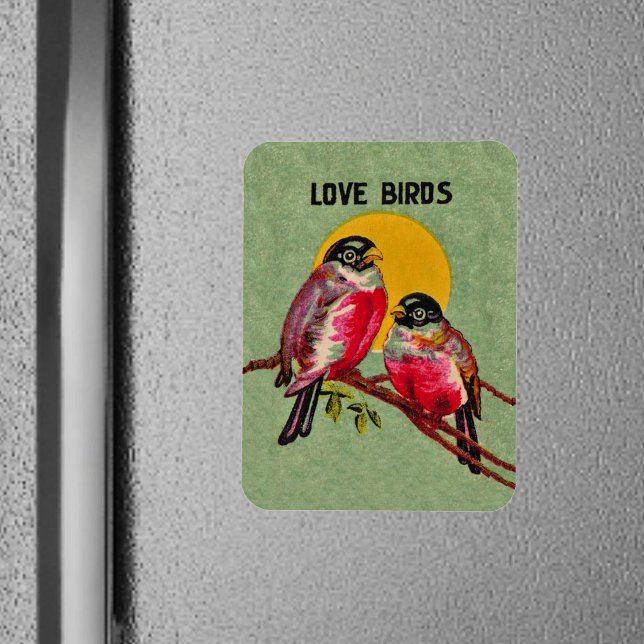 Vintage Liebesvögel Sun Magnet (Two red love birds sitting together on a branch in front of sun on green frig magnet.)