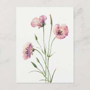 Vintage Lilac Mariposa Blumenpostkarte Postkarte