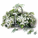 Vintage Lilie des Tales Fotoskulptur Magnet<br><div class="desc">Vintage Lilie des Tales Karo heraus alle diese anderen großen Geschenkideen! Fertigen Sie besonders an oder personifizieren Sie irgendwelche Einzelteile, indem Sie Ihren eigenen Text wie Namen, Plätze oder Sachen hinzufügen sowie fügen Sie Ihre eigenen Ideen hinzu der Grafiken, um einzigartigen und ursprünglichen Einzelteile zu schaffen, der Büroprodukte oder des...</div>