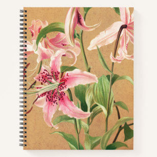 Vintage Lily Carnet Grande année Plaine